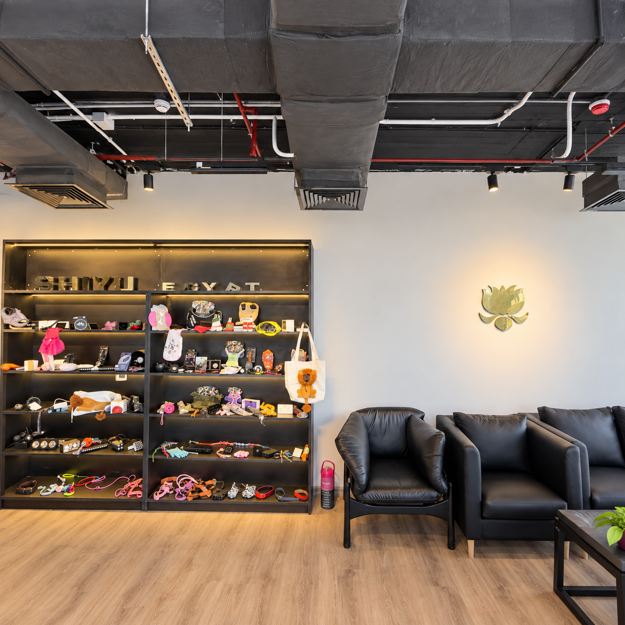 Sample Display Area